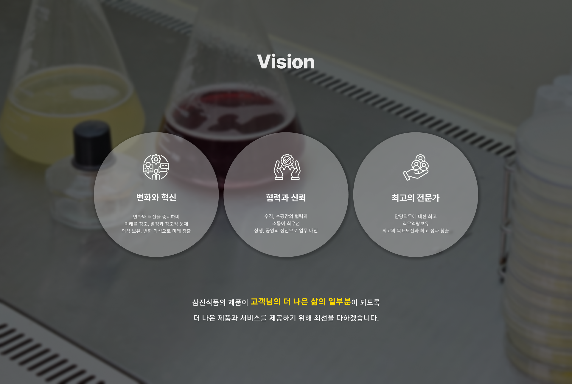 비전